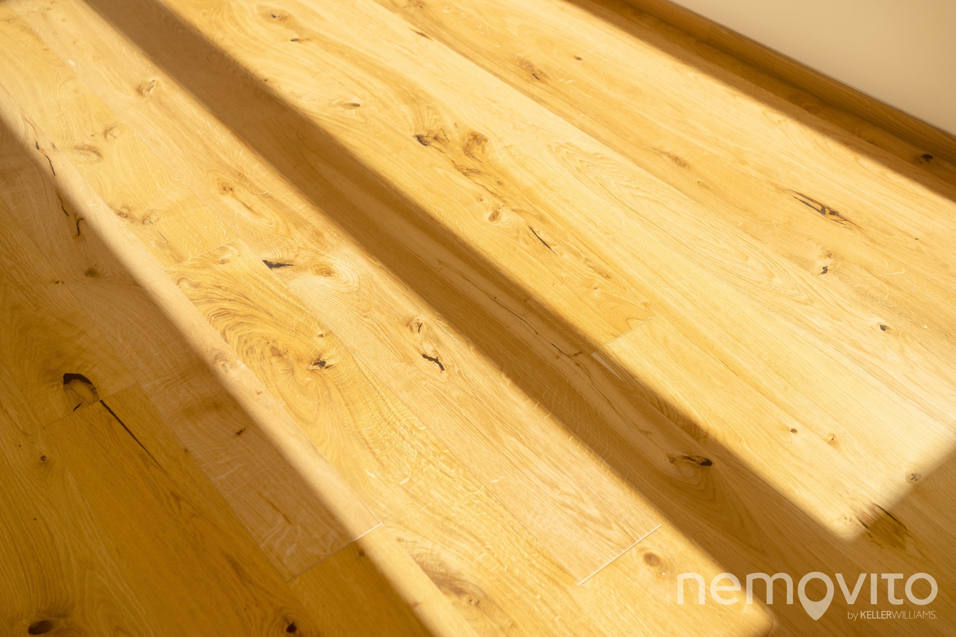 Fotku se nepodařilo načíst.