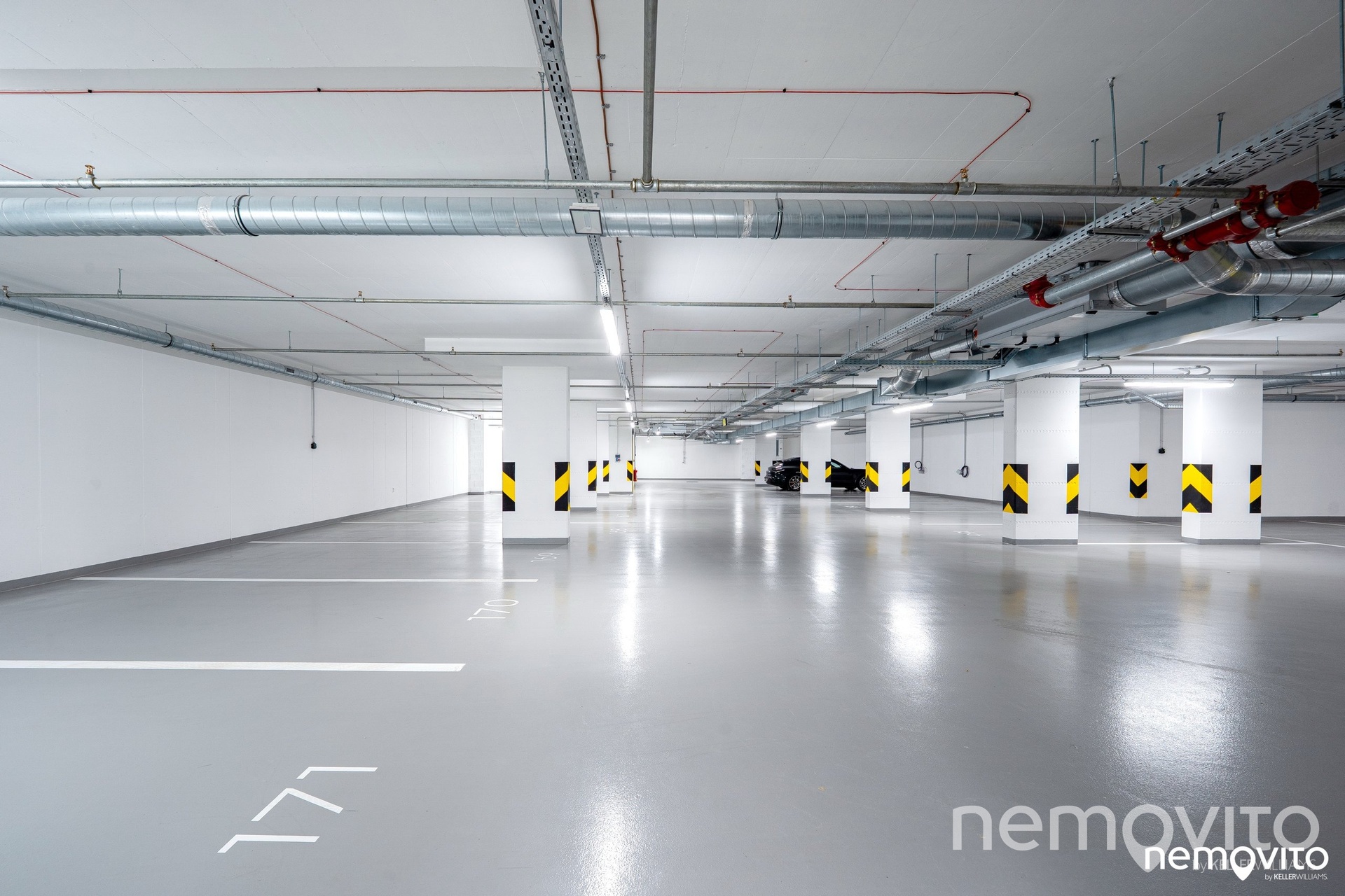 Fotku se nepodařilo načíst.