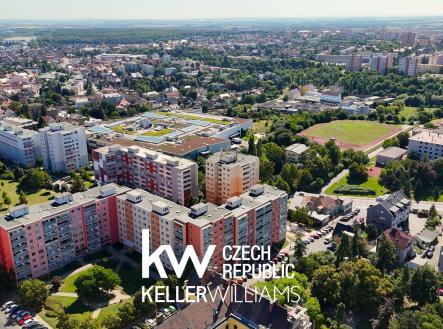 dji_fly_20250812_104926_0709_1755014086618_photo