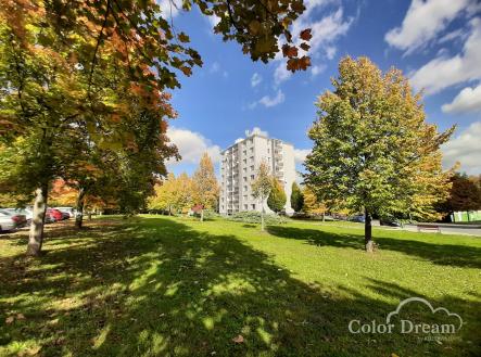 Pronájem bytu, 2+1, 56 m²