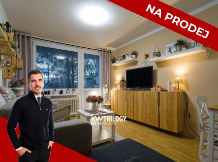 Prodej bytu, 2+kk, 48 m²