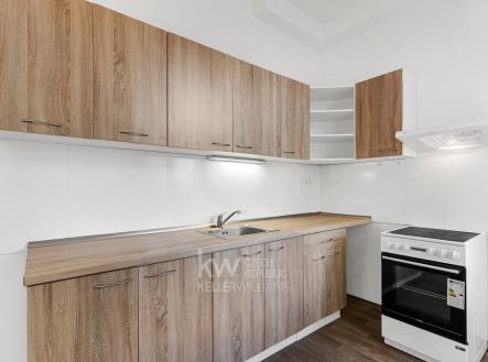 Pronájem bytu, 1+1, 56 m²