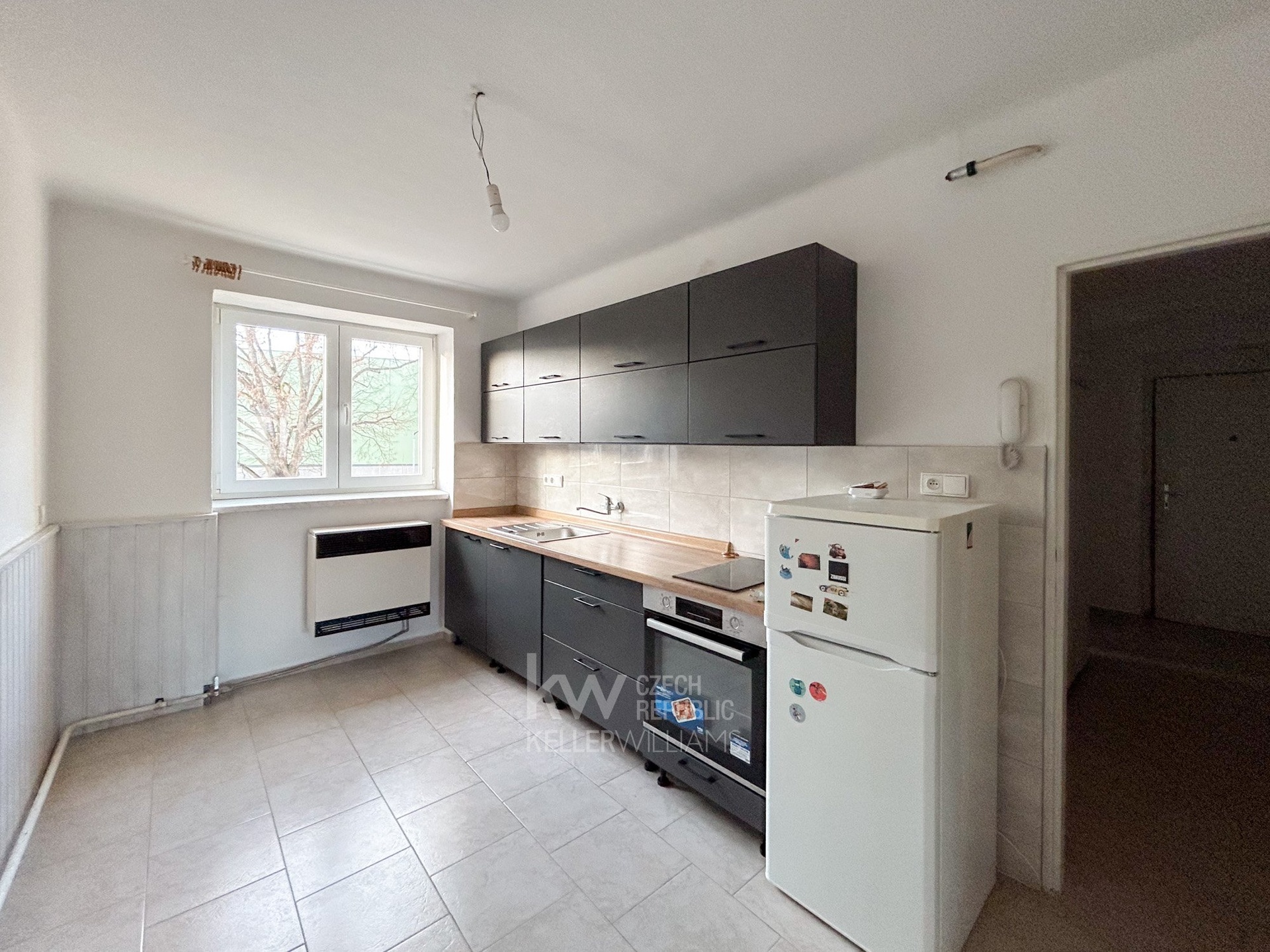 omegavisuals-final-5