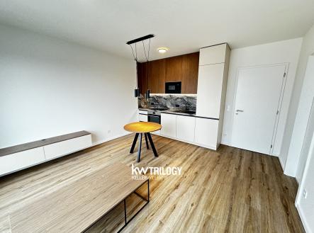 Pronájem bytu, 2+kk, 47 m²