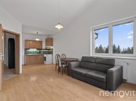 Pronájem bytu, 2+kk, 61 m²