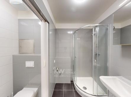 Pronájem bytu, 1+1, 38 m²