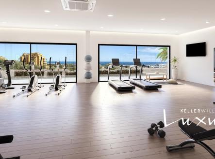 06 Gym