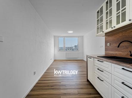 Prodej bytu, 2+kk, 47 m²