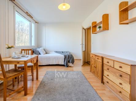 Prodej bytu, 1+kk, 33 m²