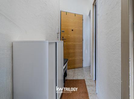 Prodej bytu, 1+kk, 29 m²