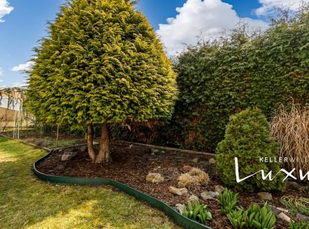 Prodej domu/vily, 286 m²