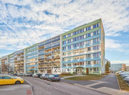 Pronájem bytu, 4+kk, 71 m²