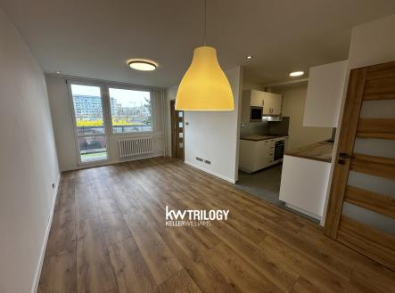 Pronájem bytu, 4+kk, 71 m²