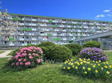 Pronájem bytu, 1+kk, 35 m²