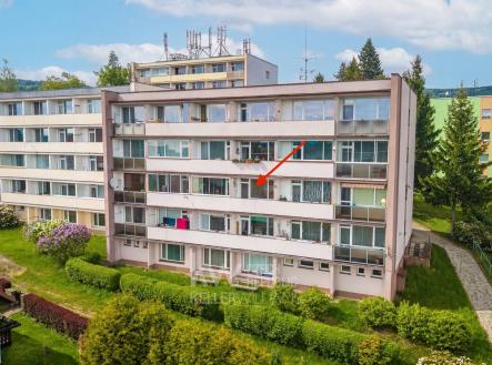 Prodej bytu, 1+kk, 28 m²