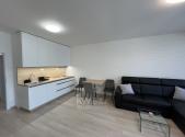 Pronájem bytu, 1+kk, 41 m²
