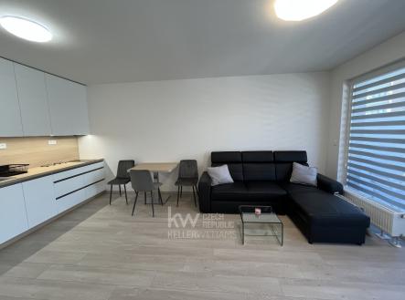 Pronájem bytu, 1+kk, 41 m²