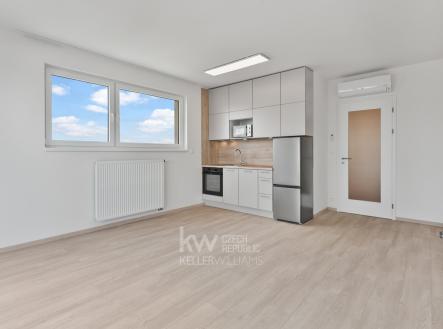 Pronájem bytu, 1+kk, 54 m²