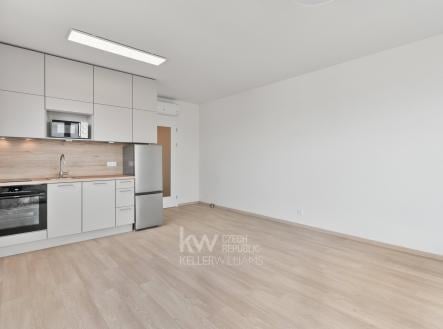 Pronájem bytu, 1+kk, 54 m²