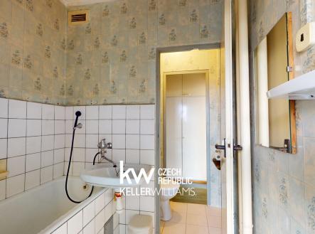 hvozdikova-GOTTFRIEDOVA-06232026_164025
