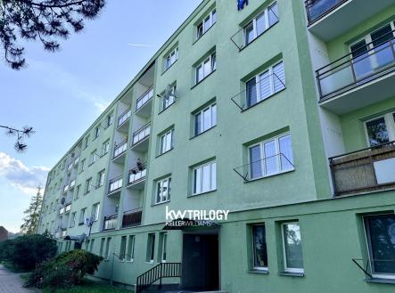 Pronájem bytu, 2+1, 54 m² obrázek