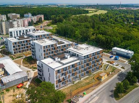 DJI_20260623111603_0689_D-HDR