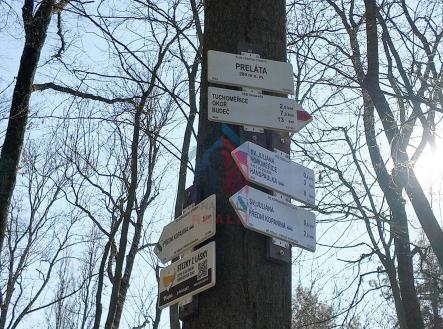 Prodej - pozemek, zahrada, 612 m²