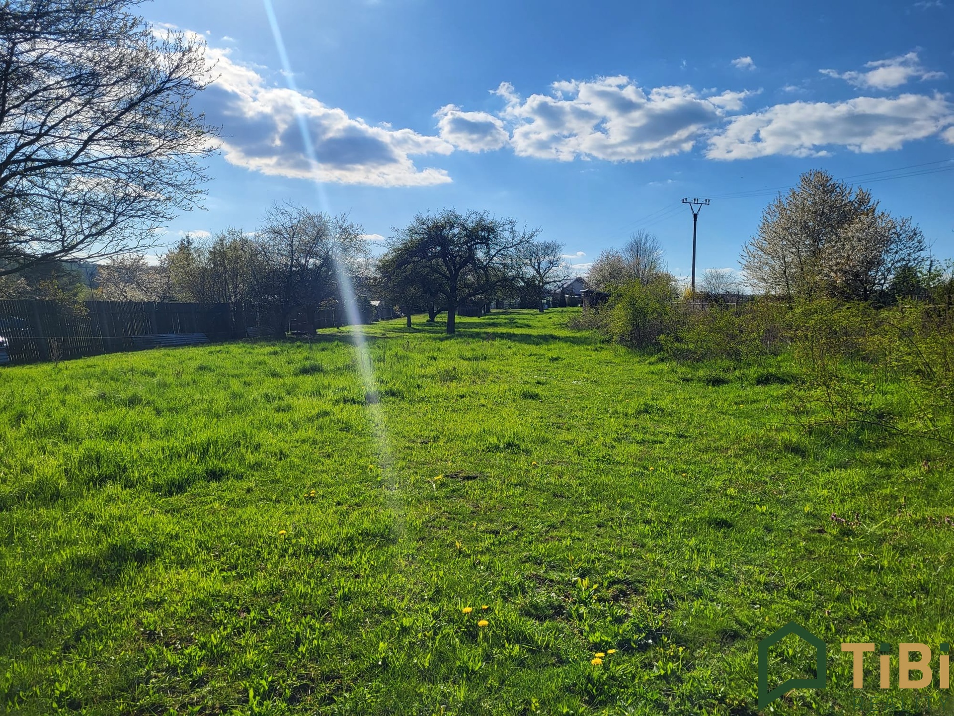 5da01113-8f55-46be-ad4e-4e46d81319cd