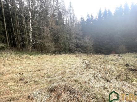 Prodej - pozemek pro bydlení, 1 753 m²