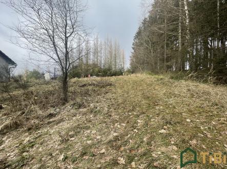 Prodej pozemku pro bydlení, 1 753 m²