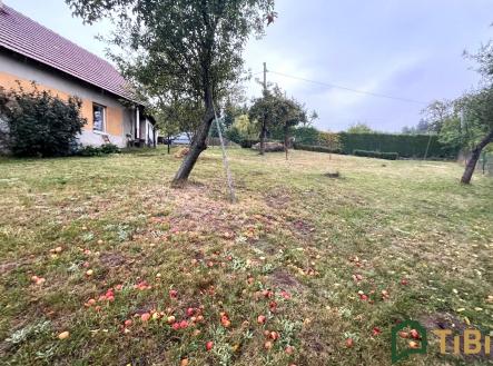 Prodej domu/vily, 240 m²