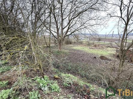 Prodej pozemku pro bydlení, 665 m² obrázek