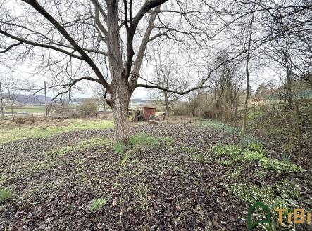 Prodej pozemku pro bydlení, 665 m²