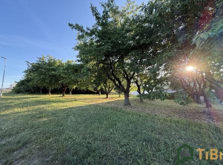 Prodej pozemku pro bydlení, 767 m²