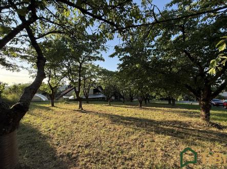 Prodej pozemku pro bydlení, 767 m²