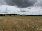 Prodej pozemku, zemědělská půda, 2 000 m²