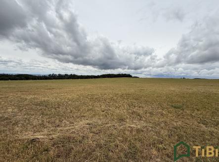 Prodej pozemku, zemědělská půda, 2 000 m²