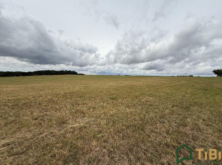 Prodej pozemku, zemědělská půda, 2 000 m²