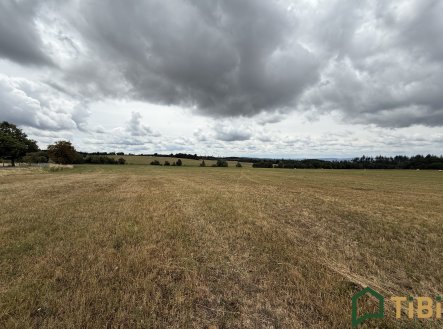 Prodej pozemku, zemědělská půda, 2 000 m²