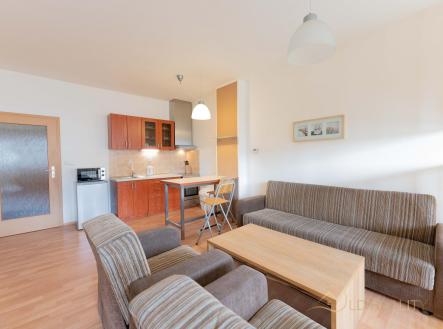 Pronájem bytu, 1+kk, 42 m²