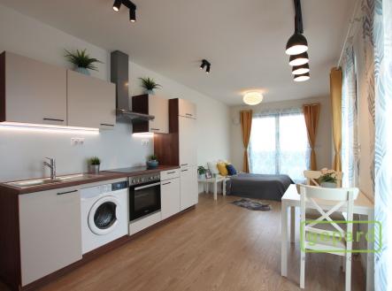 Pronájem bytu, 1+kk, 64 m²