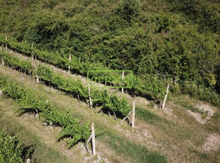 Prodej pozemku, ostatní, 2 166 m²