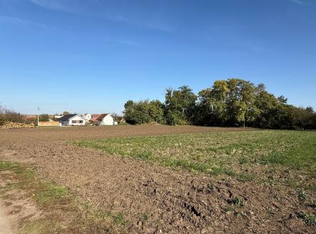 Prodej pozemku pro bydlení, 2 008 m²