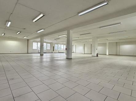 Pronájem obchodní prostor, 1 200 m²