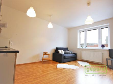 Pronájem bytu, 1+kk, 30 m²