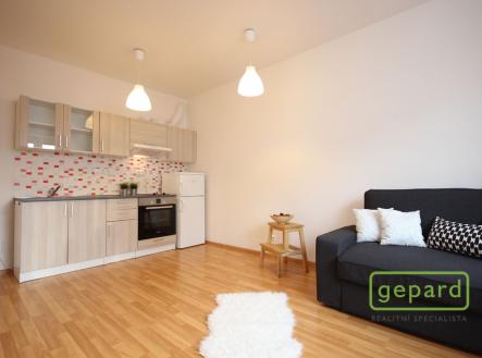 Pronájem bytu, 1+kk, 30 m²