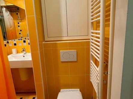 Pronájem bytu, 1+1, 37 m²