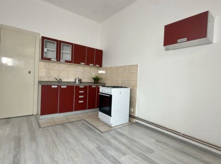Pronájem prostorného bytu 1+1 s lodžií, 57 m² – Brno, Černá Pole