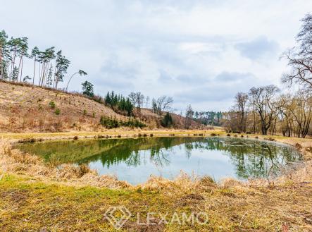 Prodej - pozemek, ostatní, 11 304 m²