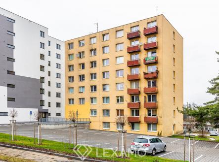 Pronájem bytu, 1+kk, 20 m²
